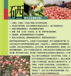 富硒健康礼，聚汇网上选——烟台人的品质生活新标杆